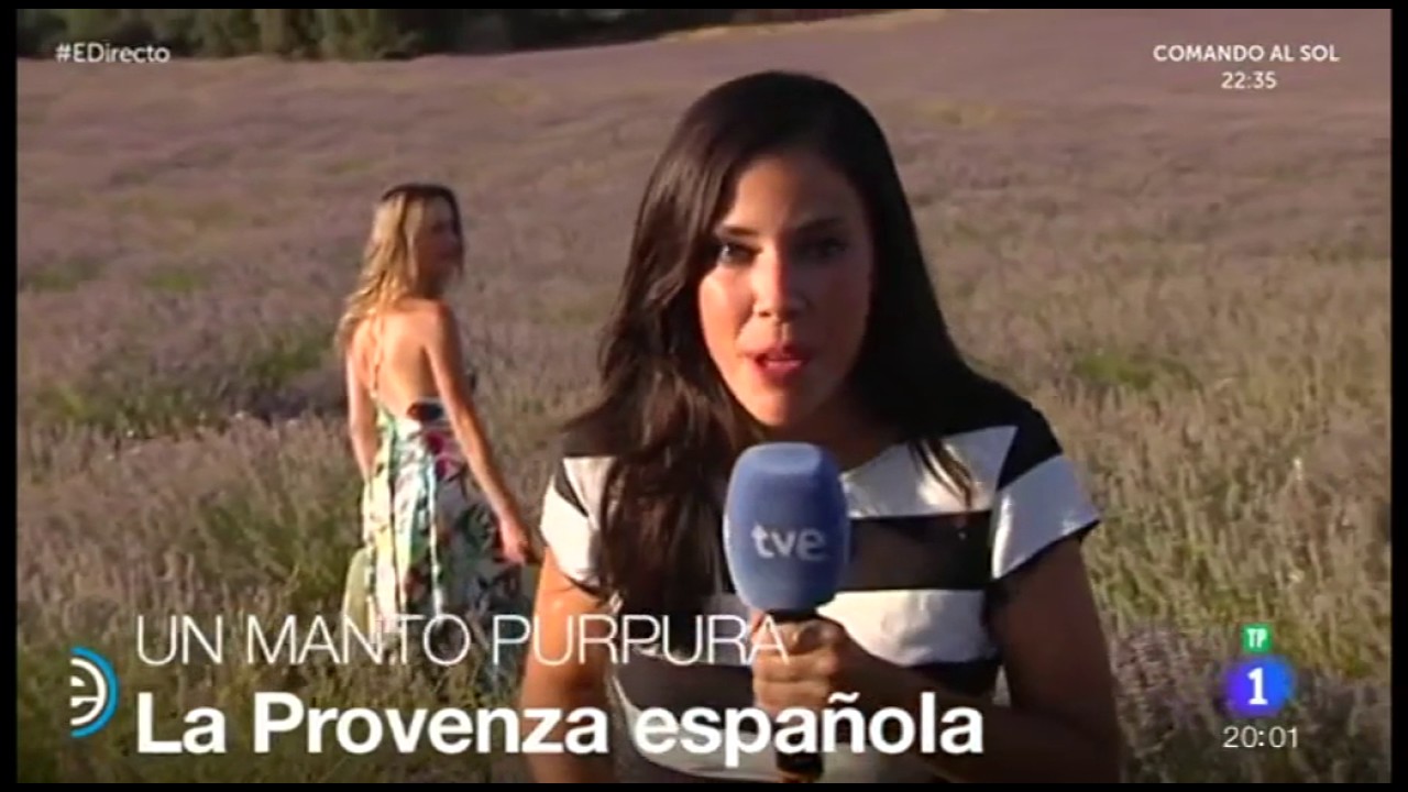 ESPAÑA DIRECTO - Festival de la lavanda