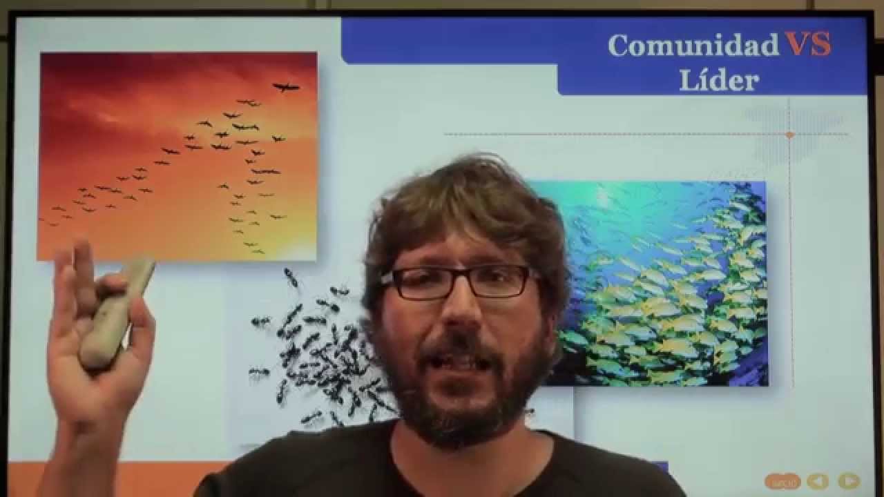 B01.03 &iquest;Qu&eacute; es la Inteligencia Colectiva?