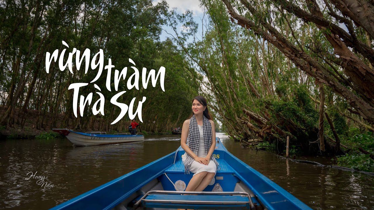 Rừng tràm Trà Sư 4K