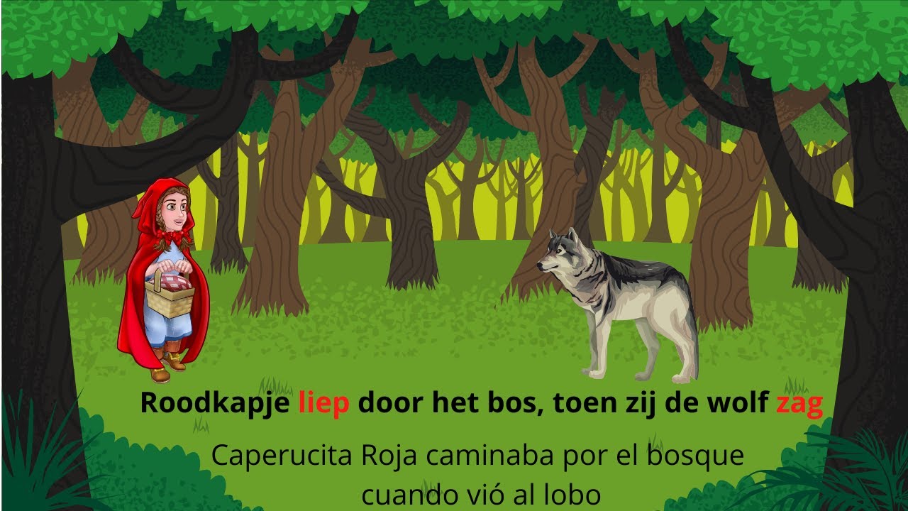 Aprender holandés  -  El imperfecto pasado #aprenderholandes