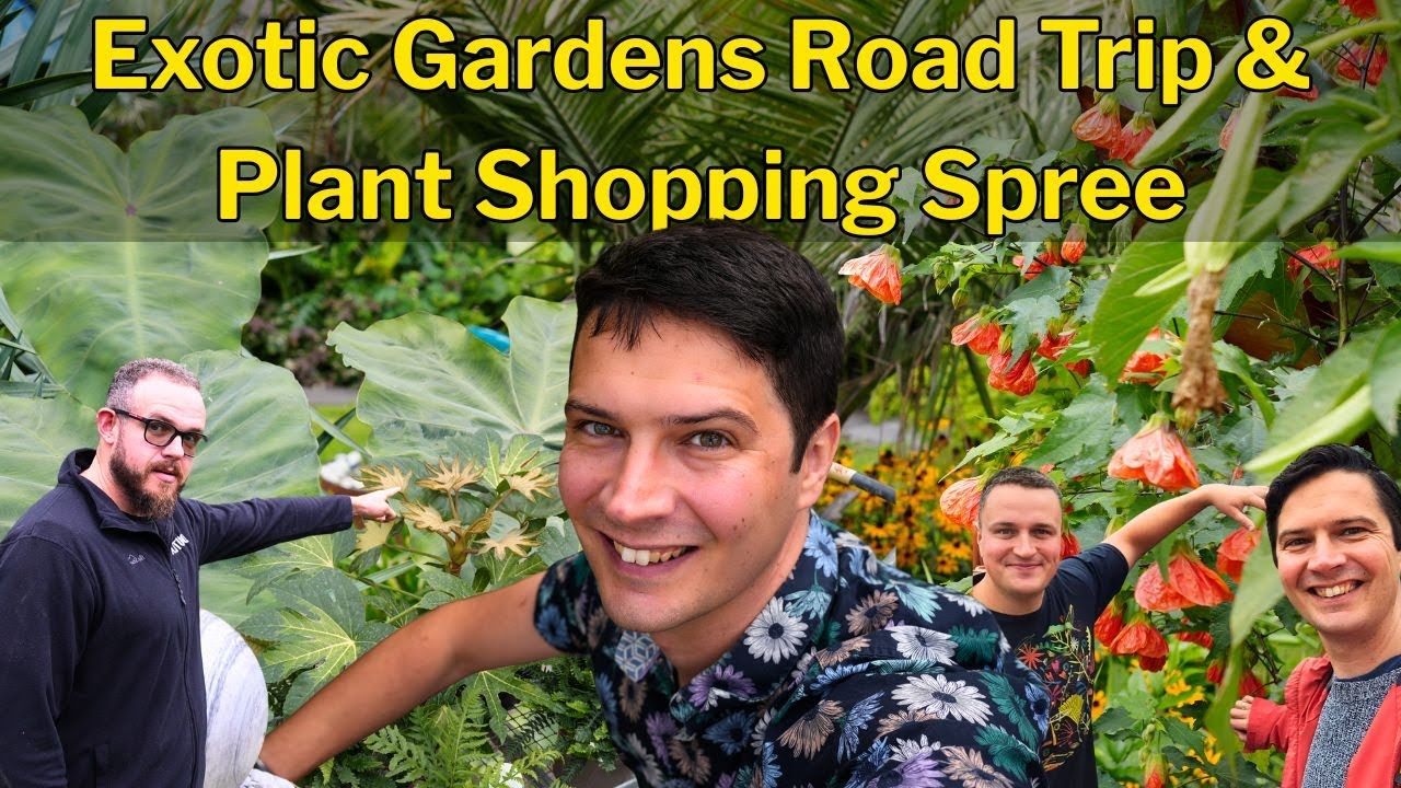 &laquo;Автопутешествие по экзотическому садоводству Великобритании! Джунгли, редкие растения и грандиоз...