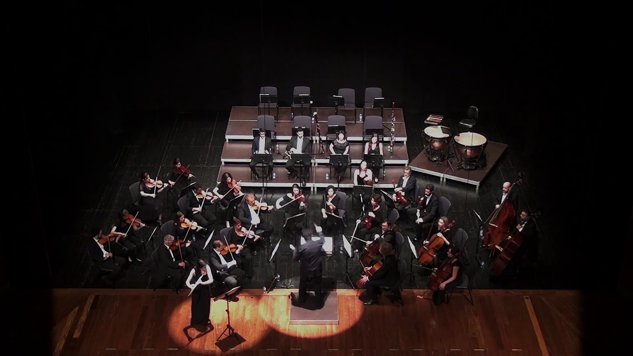Flute Concerto No.7 in E minor: 