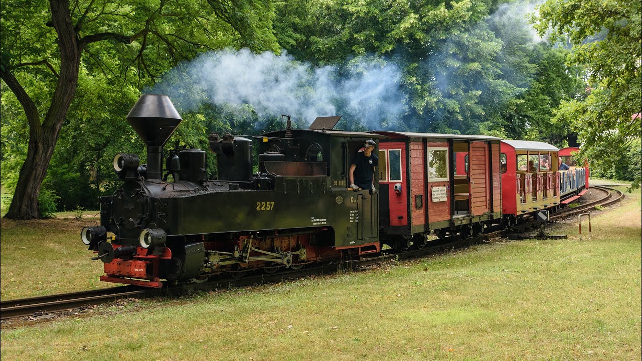 Przejazd pociągiem z parowozem HF 99 0001 -  Parkeisenbahn Cottbus 2023.06.24