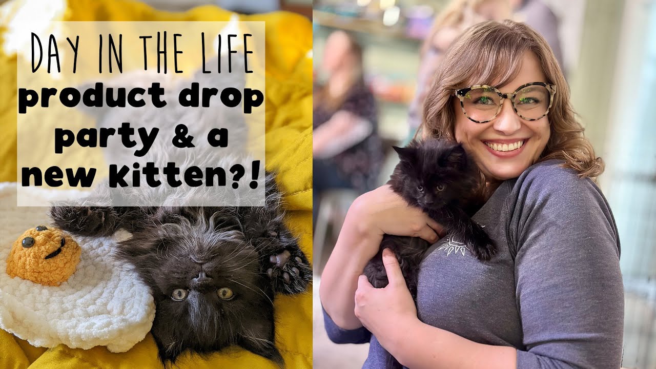 Took a Kitten Home from our Drop Party!! | Day in the Life of a Small Business Owner in a Large City