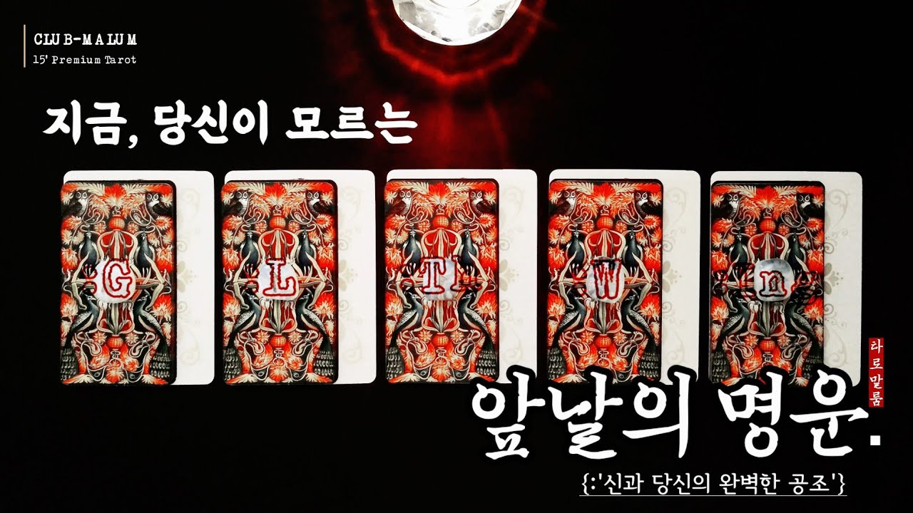 [타로] ‘지금, 당신이 모르는 가까운 명운.’{:당신의 성공은 신과 당신의 완벽한 공조였다}’