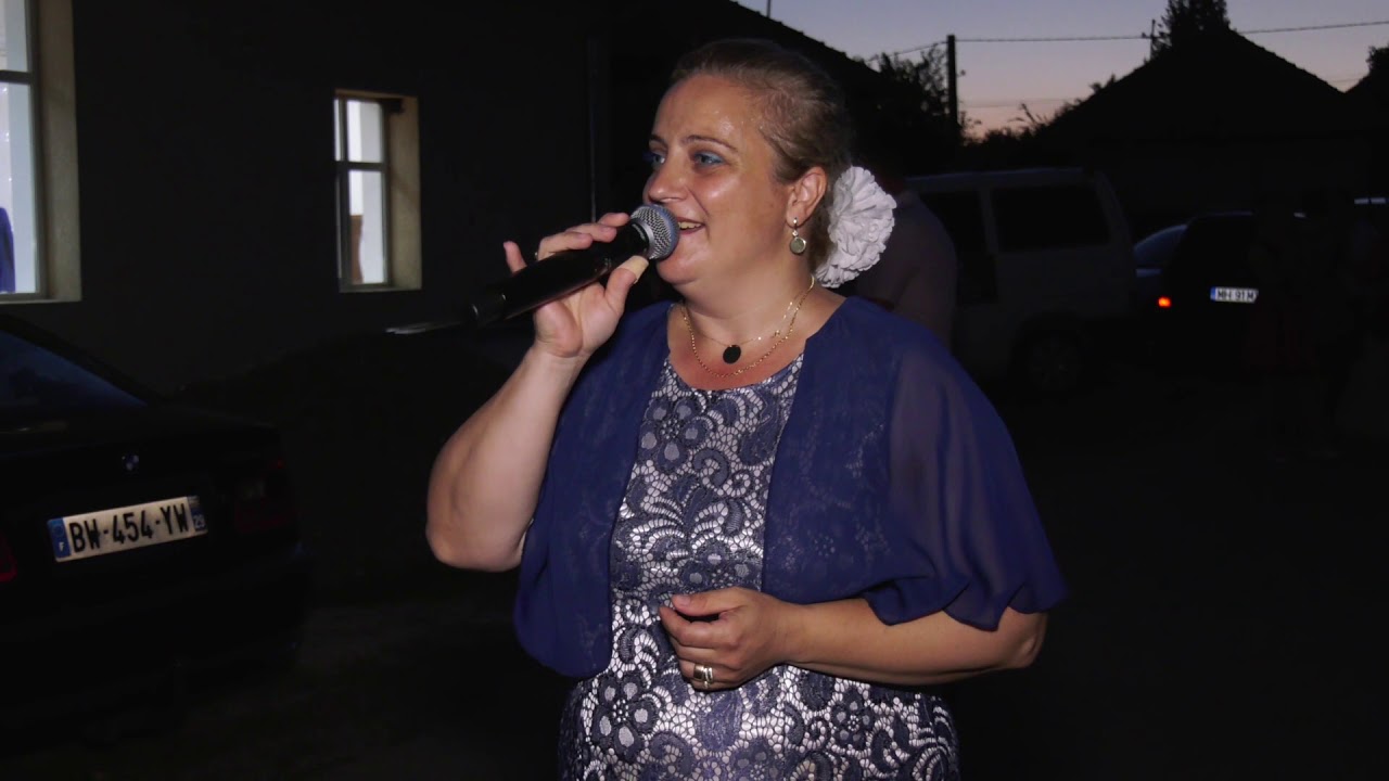 LUMINIȚA IOSU LIVE 1[HORE NUNTA DĂNCEU]