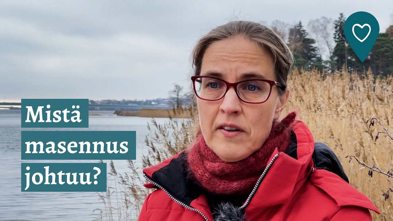 Asiantuntija kertoo - Mist&auml; masennus johtuu?