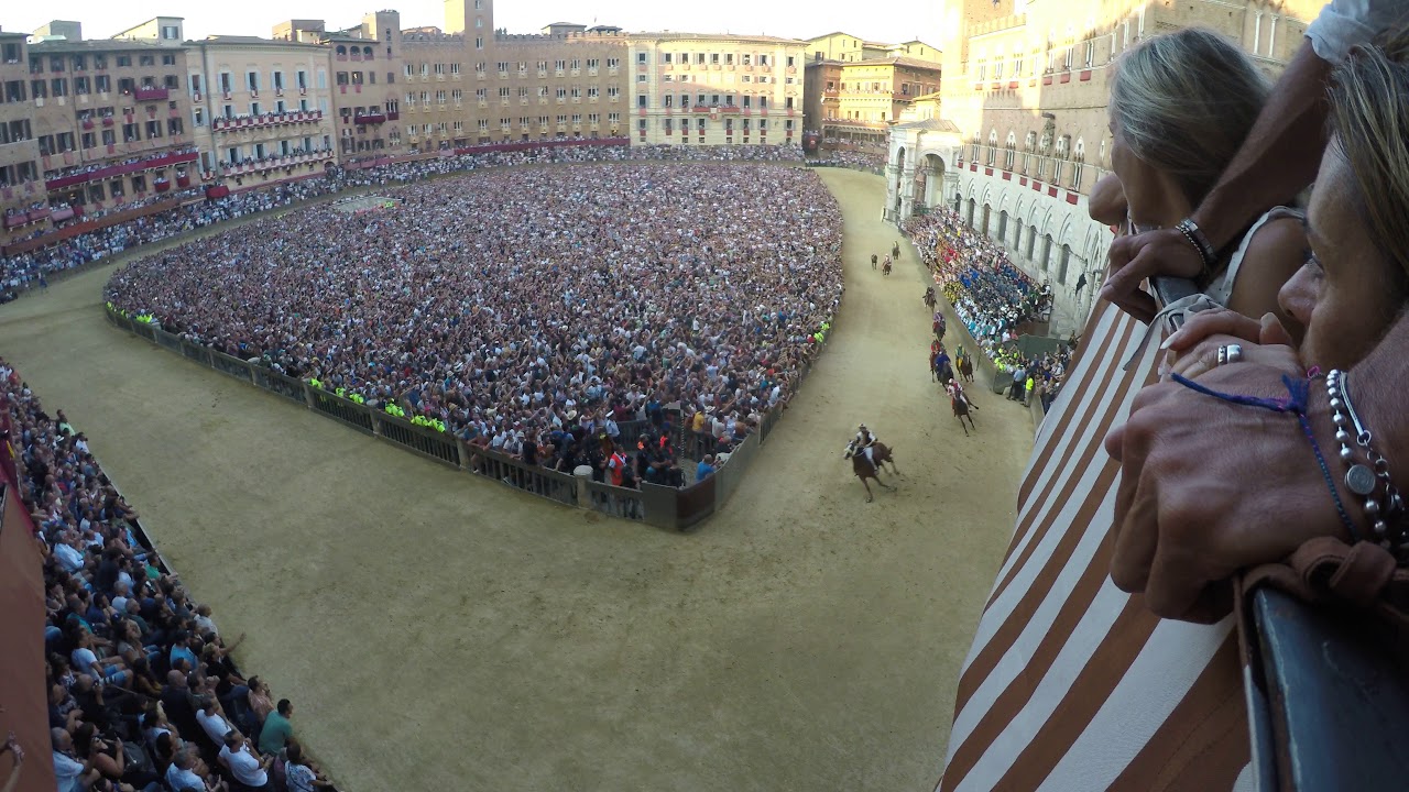 Palio Aug 16 2018