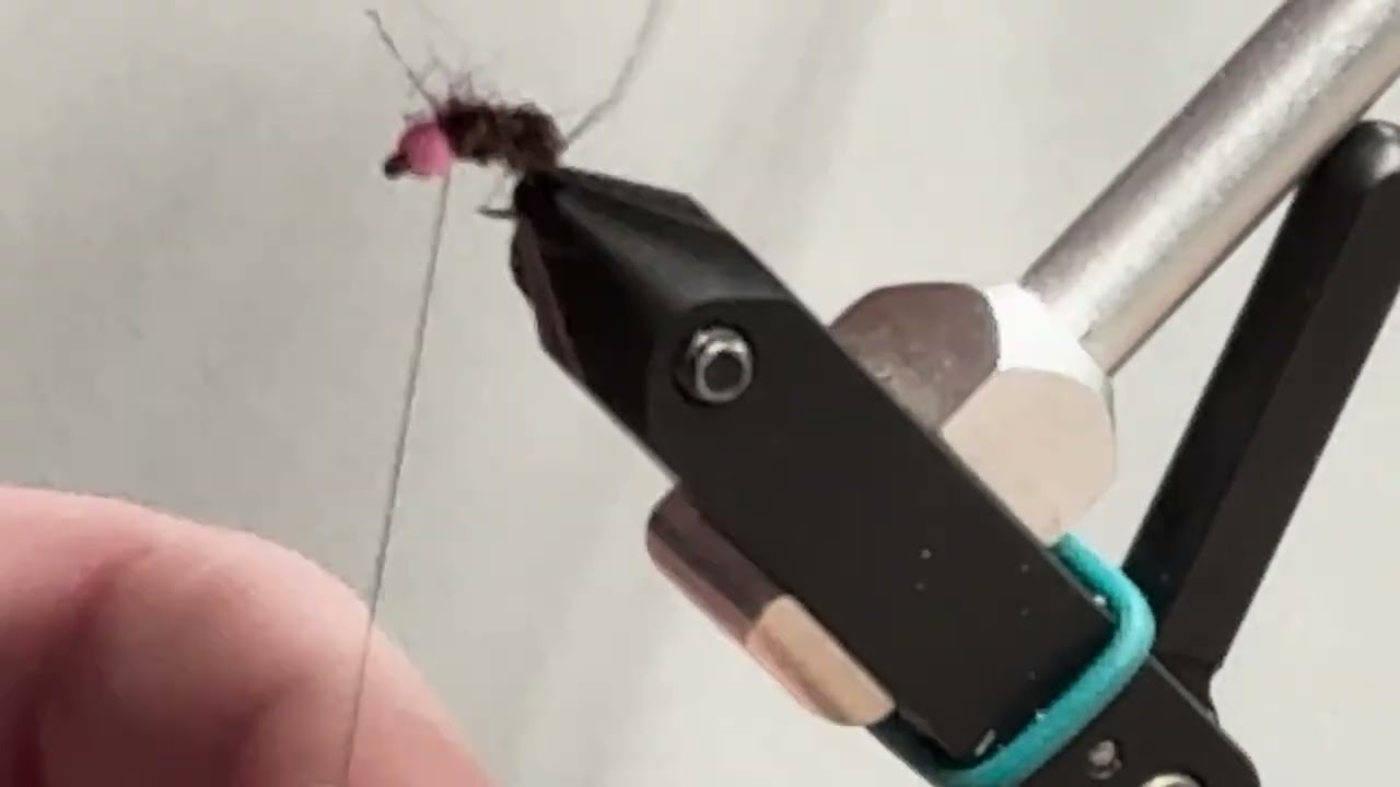 Simple but incredibly effective trout fly
