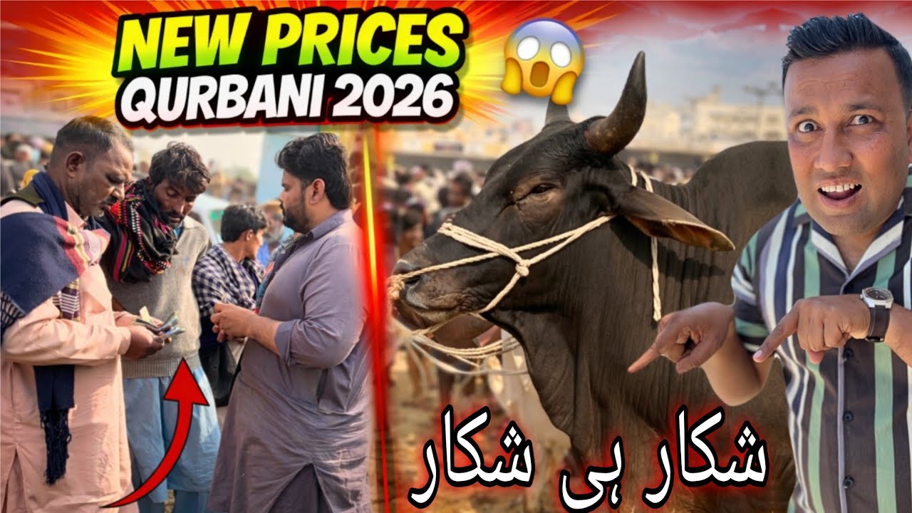 👉 🚨 Malir Mandi Mein Aaj Bada Shikar! | Rate Sun Kar Sab Hairaan 😱🐐🔥