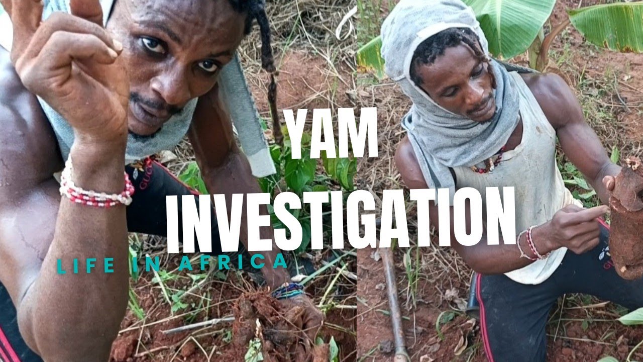 how i check on my farm