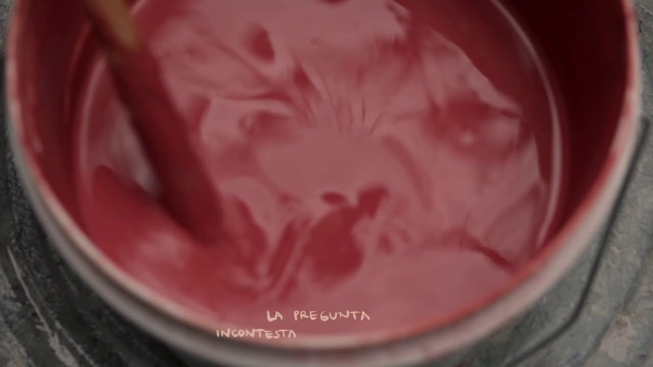 Silvana Estrada &mdash; Detesto En M&iacute; (Lyric Video)