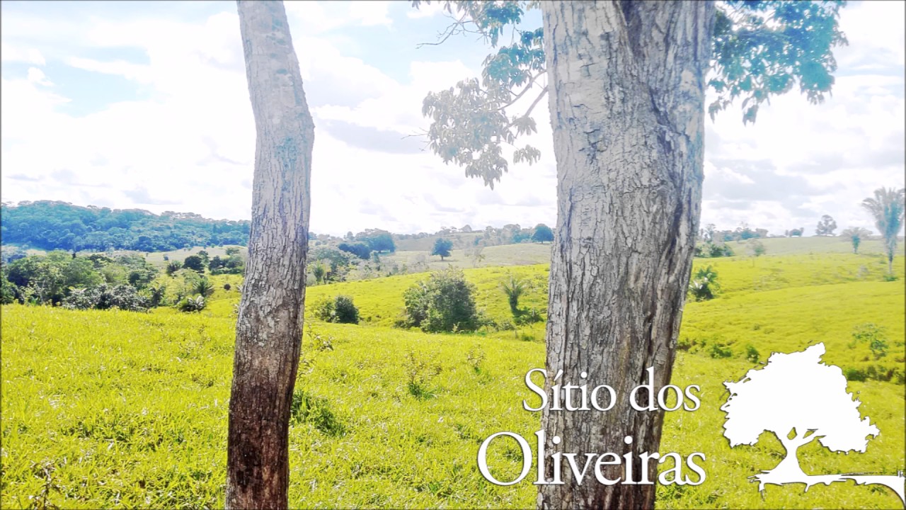 V&iacute;deo das fotos do S&iacute;tio dos Oliveiras