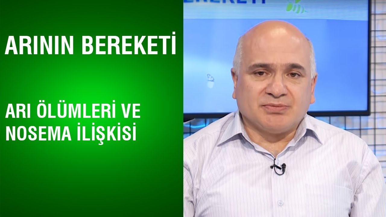 Arının Bereketi | Arı Ölümleri ve Nosema İlişkisi