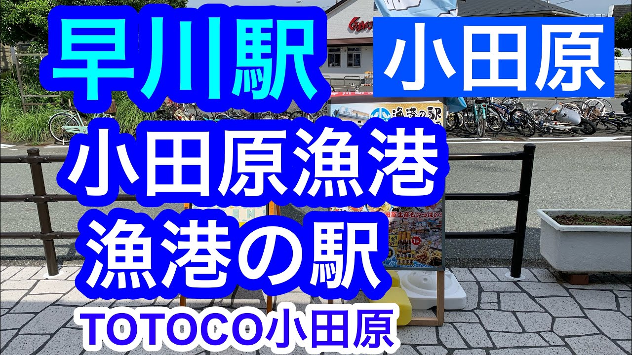 早川駅 散策！小田原漁港|小田原さかなセンター |漁港の駅 TOTOCO小田原 / Seaside trip in Japan , Kanagawa ,  Odawara