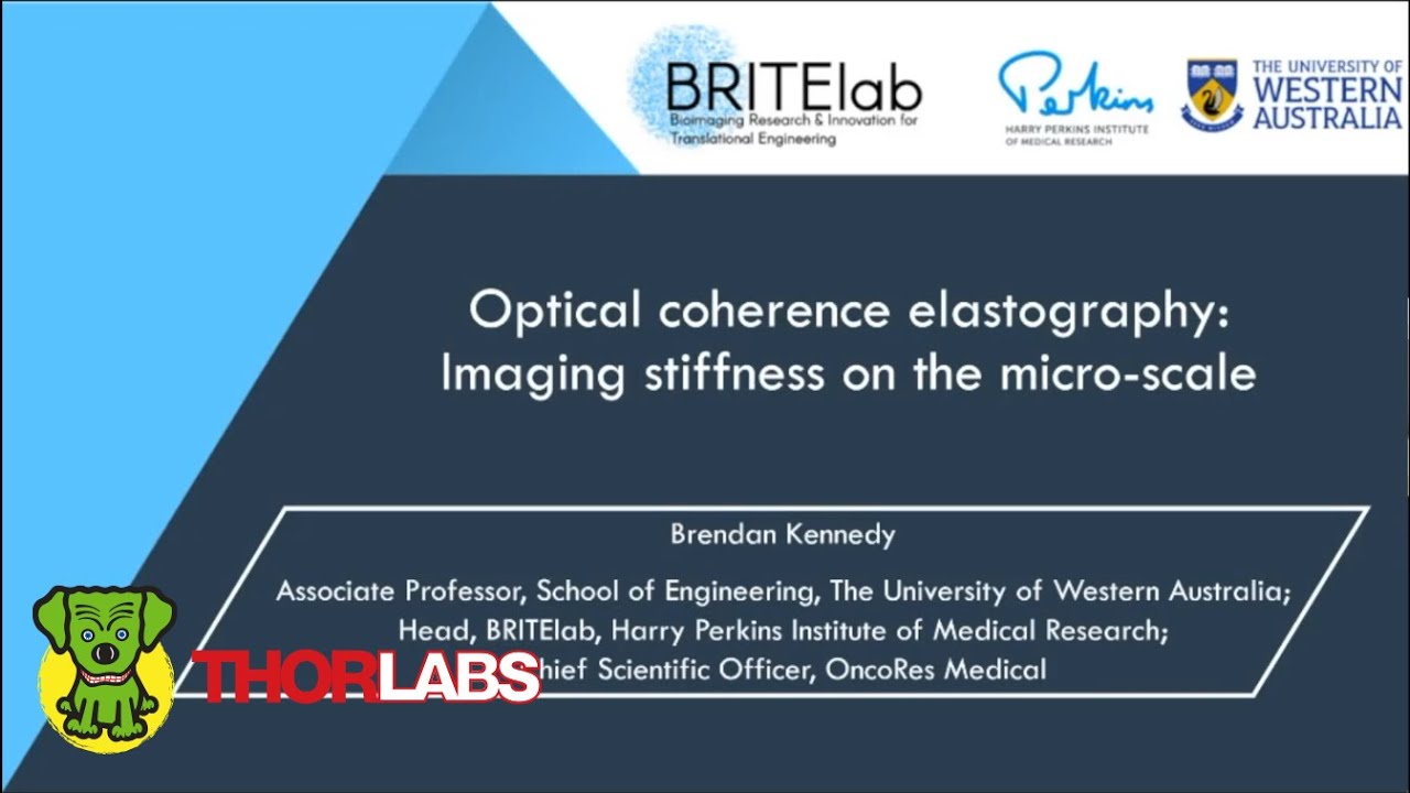 Optical Coherence Elastography: Imaging Stiffness on the Micro-Scale