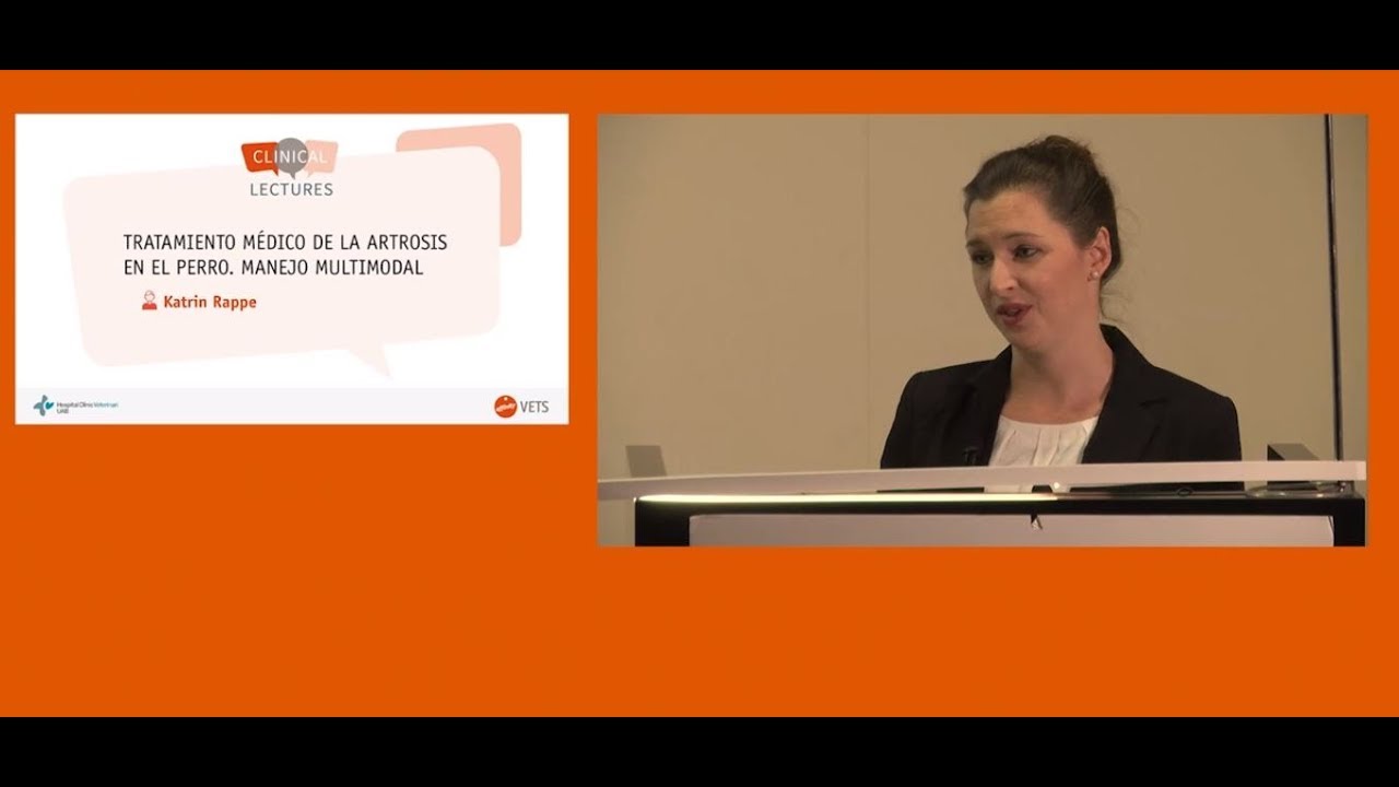 Tratamiento médico de la artrosis en los perros, manjeo multimodal. Katrin Rappe