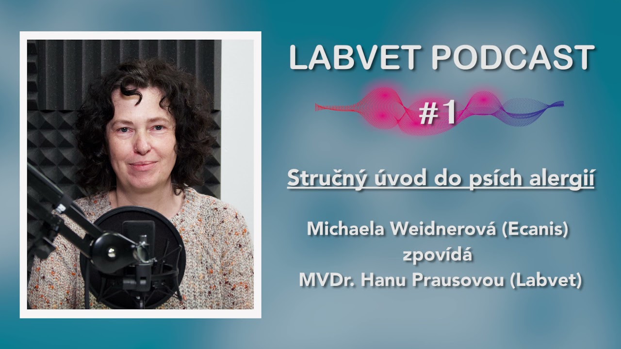 👩‍⚕️Úvod do psích ALERGIÍ👩‍⚕️| Labvet Podcast #01