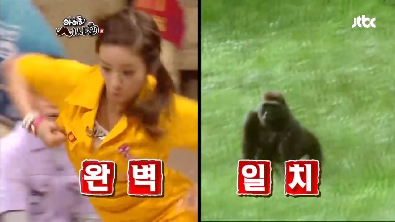 Gorilla Bomi Compilation #1