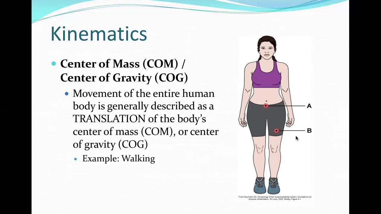 Basic Principles of Kinesiology