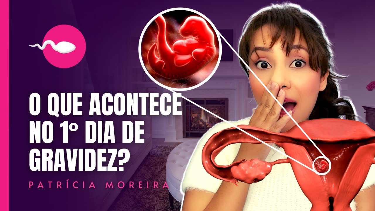 O QUE ACONTECE NO PRIMEIRO DIA DE GRAVIDEZ? Boa Gravidez