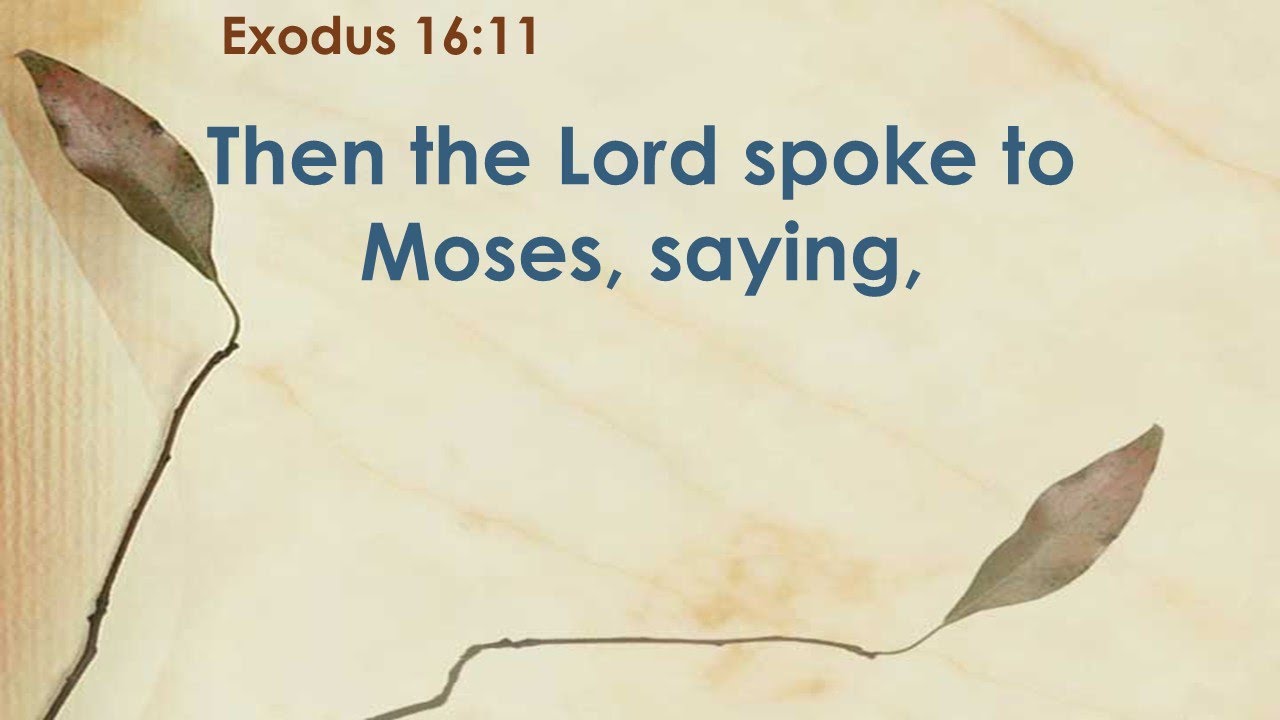 Exodus 16 Amplified Version Audio With Subtitles