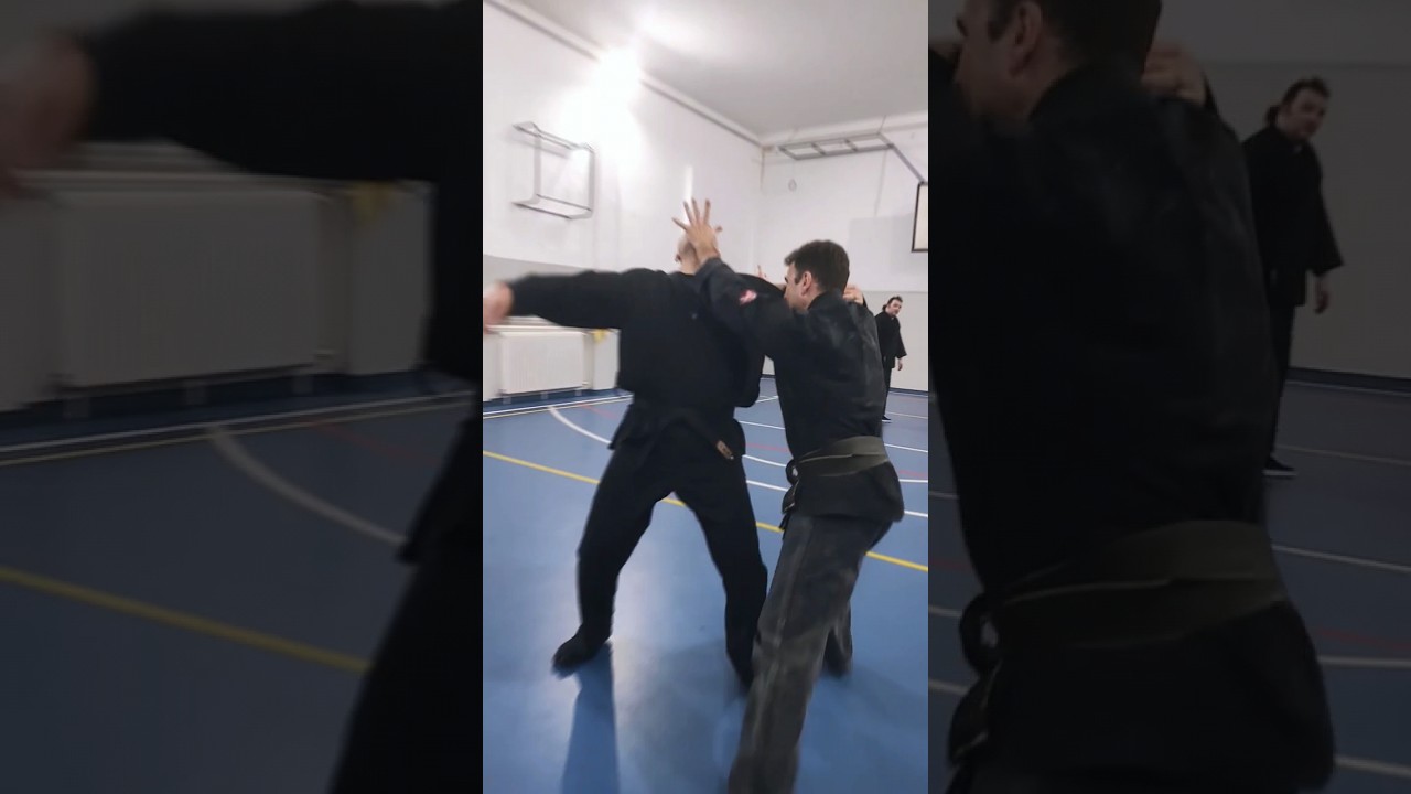Kosei no kamae application. #ninjutsu #bujinkan #martialarts #ninja #selfdefense #borilackevestine