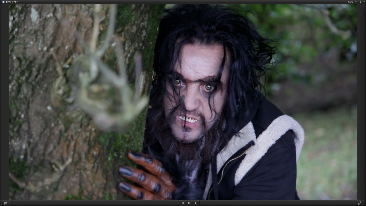 The Werewolf of Merthyr