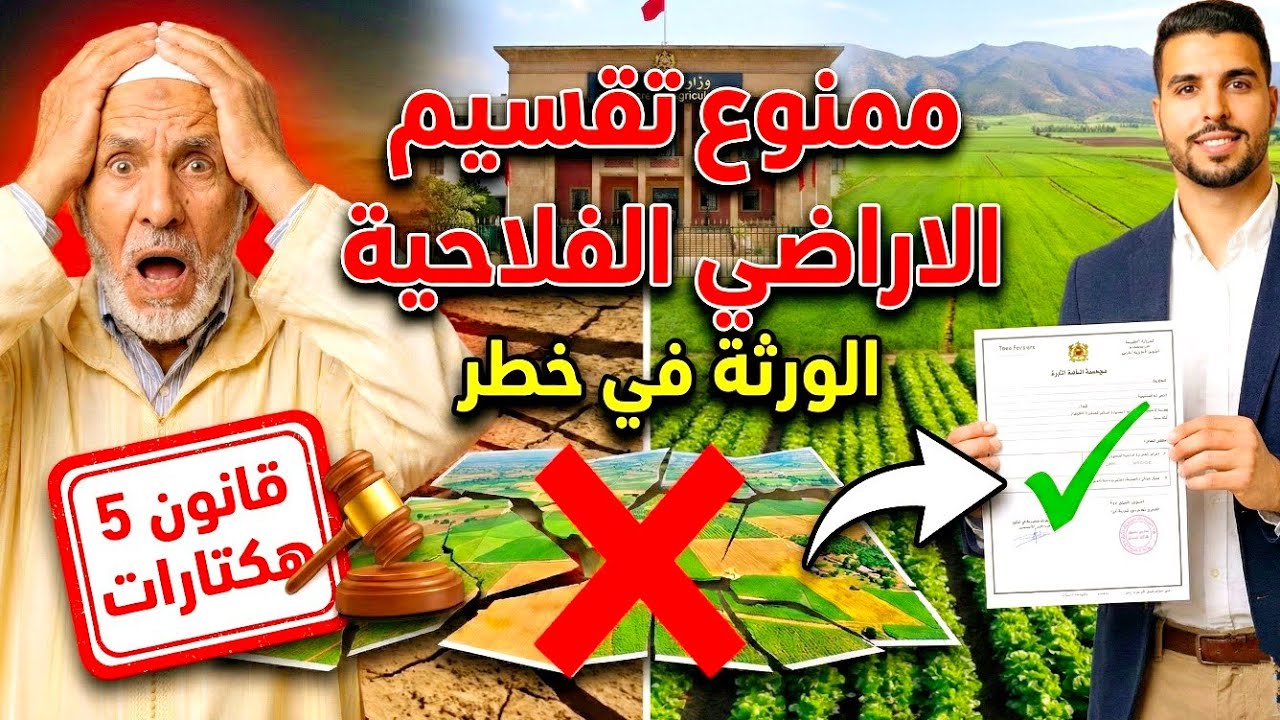 قانون تقسيم الاراضي الفلاحية 🔴 قيود صارمة تهدد بضياع الأرض 