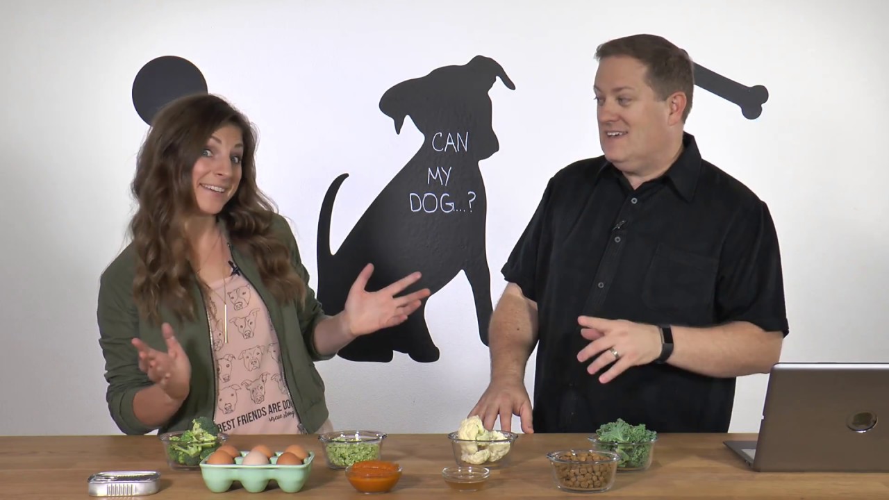 Can My Dog Eat Human Foods and Making Kibble Better  - Can My Dog...? Show - Ep 1