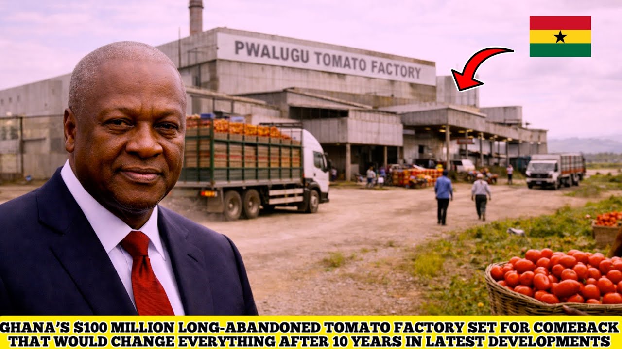 GHANA’S $100 MILLION LONG-ABANDONED TOMATO FACTORY SET FOR COMEBACK THAT WOULD CHANGE EVERYTHING 
