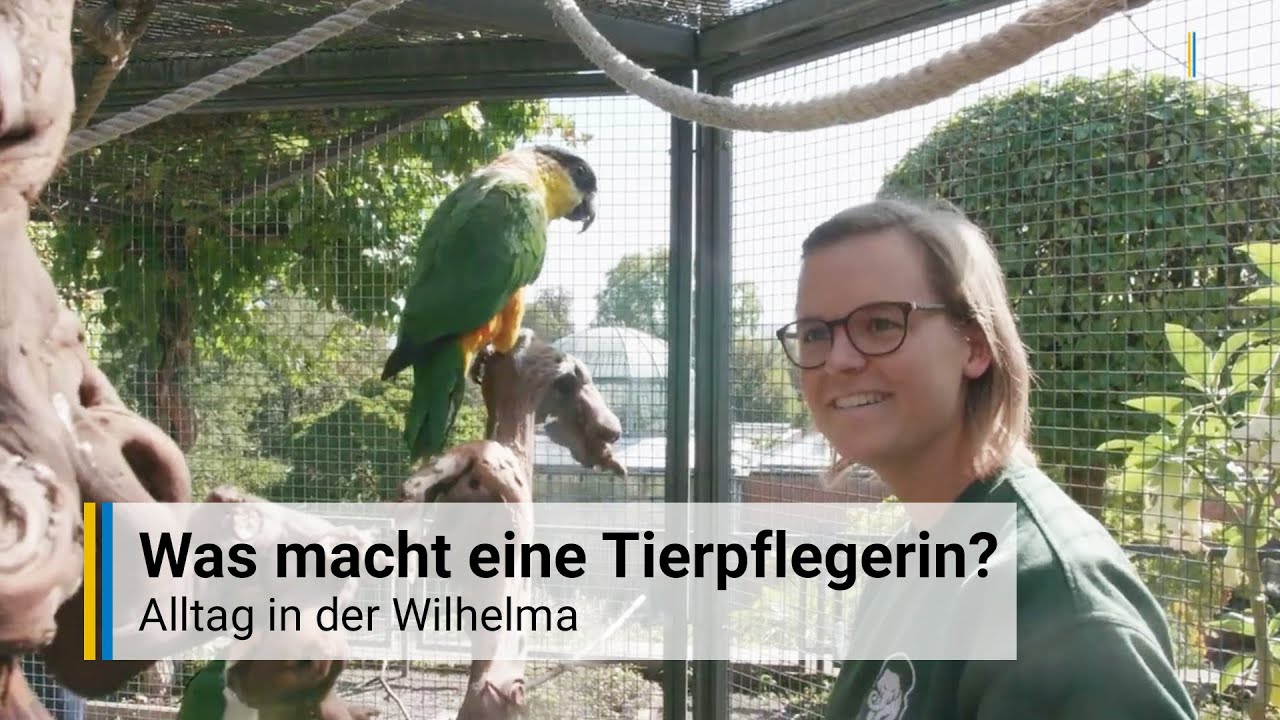 Was macht eine Tierpflegerin? - Alltag in der Wilhelma Stuttgart