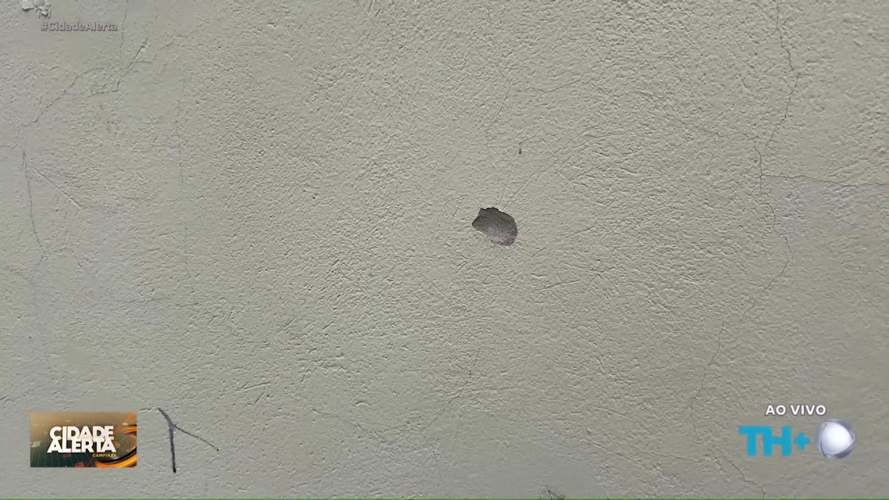CIDADE ALERTA - AO VIVO - 02/02/2026