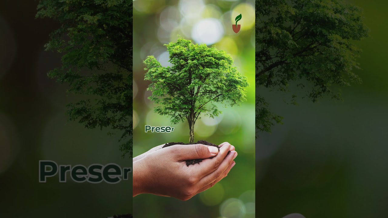 Advantages of landscaping consultancy services