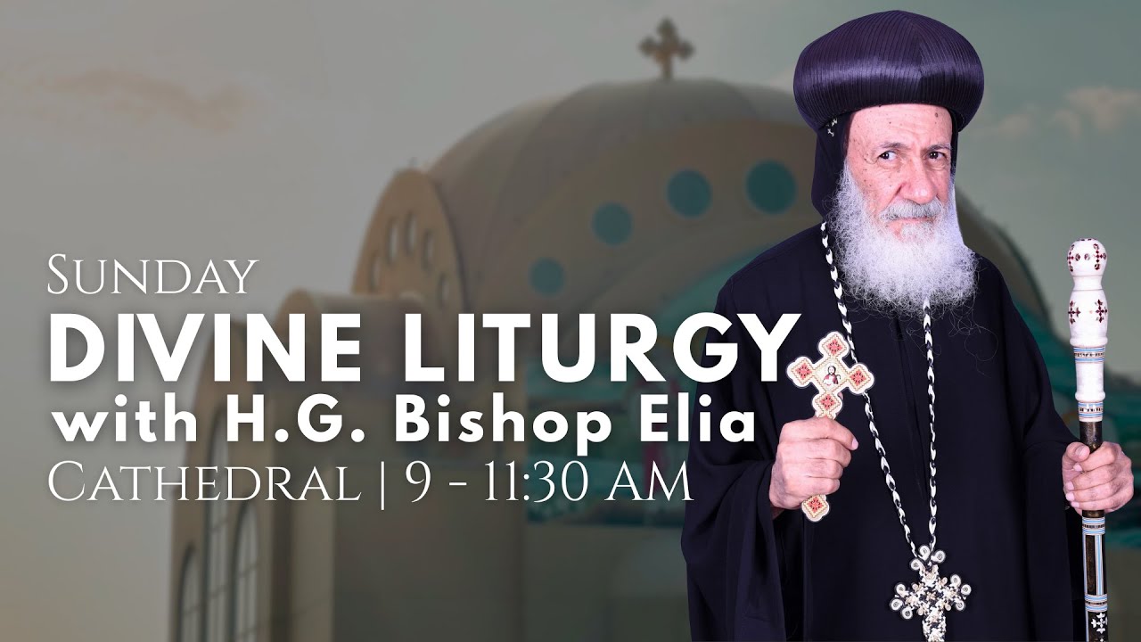 Cathedral | Sunday Divine Liturgy with H.G. Bishop Elia - June 15, 2025