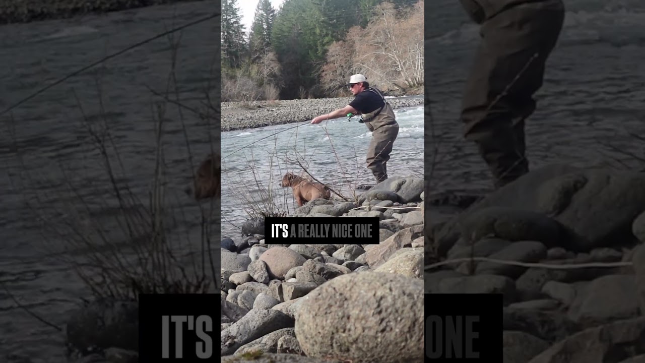 Did that really just happen!? #fishingaddict #fishingvideo #riverfishing #nativefish #dogsofyoutube