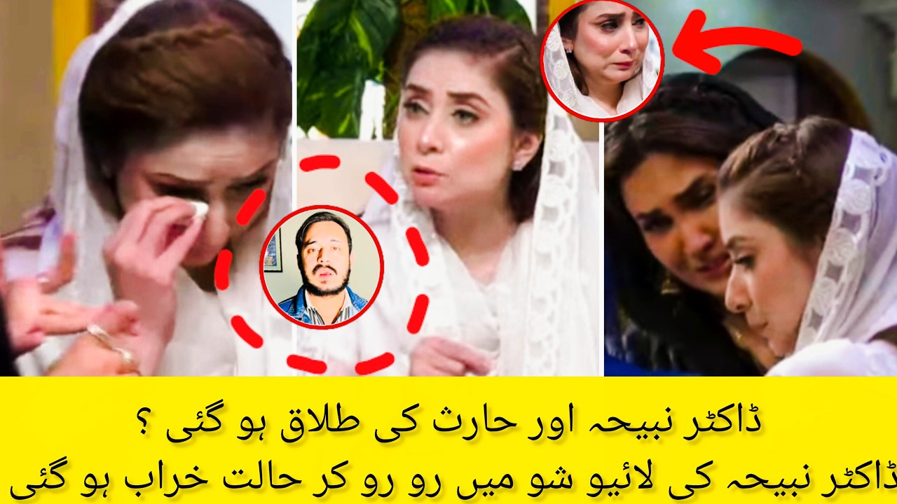 Dr Nabiha Divorce Confirm ? 😱 | Dr Nabiha And Haris Khokhar Fight 😮 | #drnabiha #divorce #interview