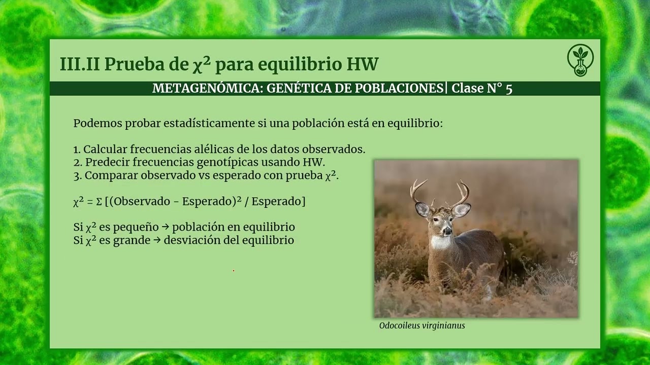 Sesión 5: Herencia Mendeliana y Genética de Poblaciones | Curso Metagenómica: De 0 a 100% | BioSeryl