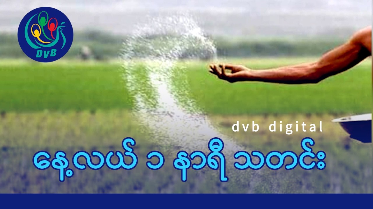 DVB Digital နေ့လယ် ၁ နာရီ သတင်း (၁၇ ရက် မတ်လ ၂၀၂၆)