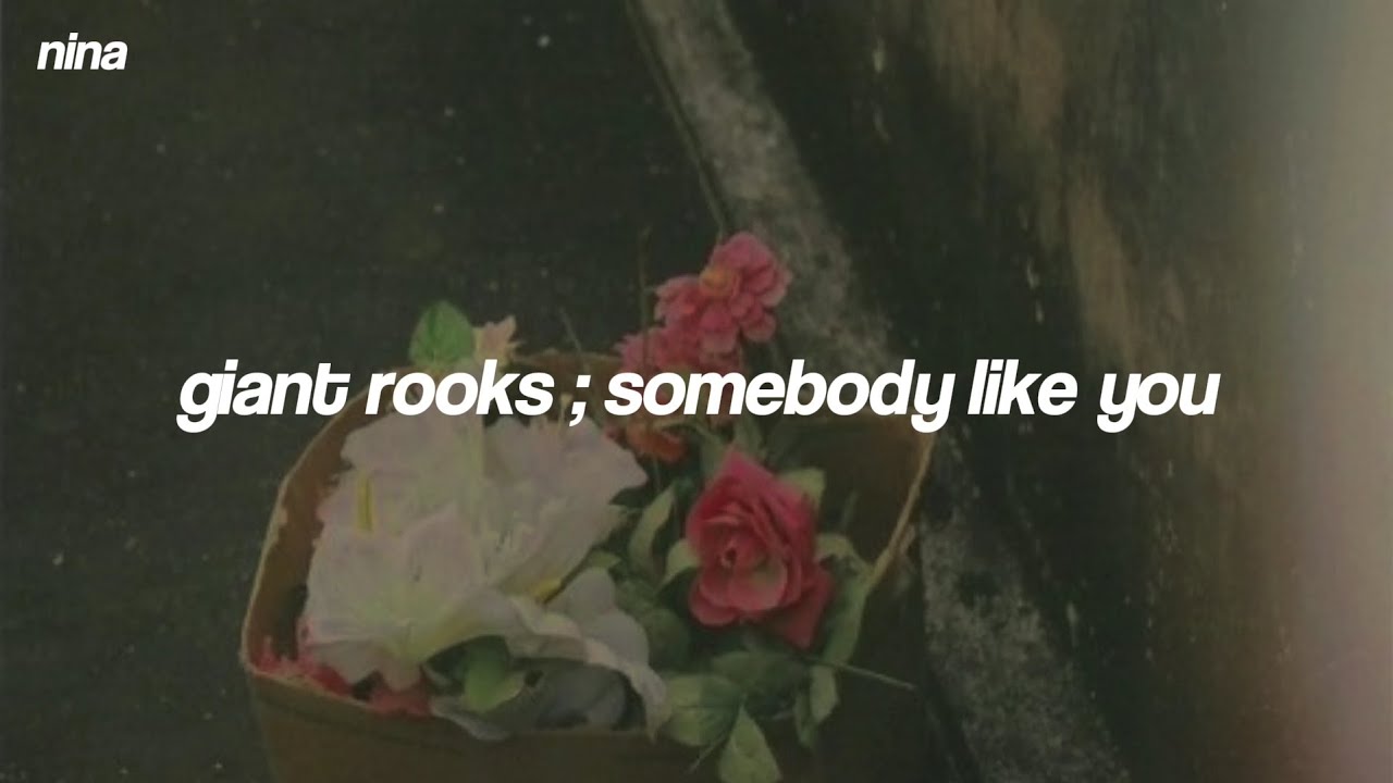 Giant Rooks - Somebody Like You || Lyrics