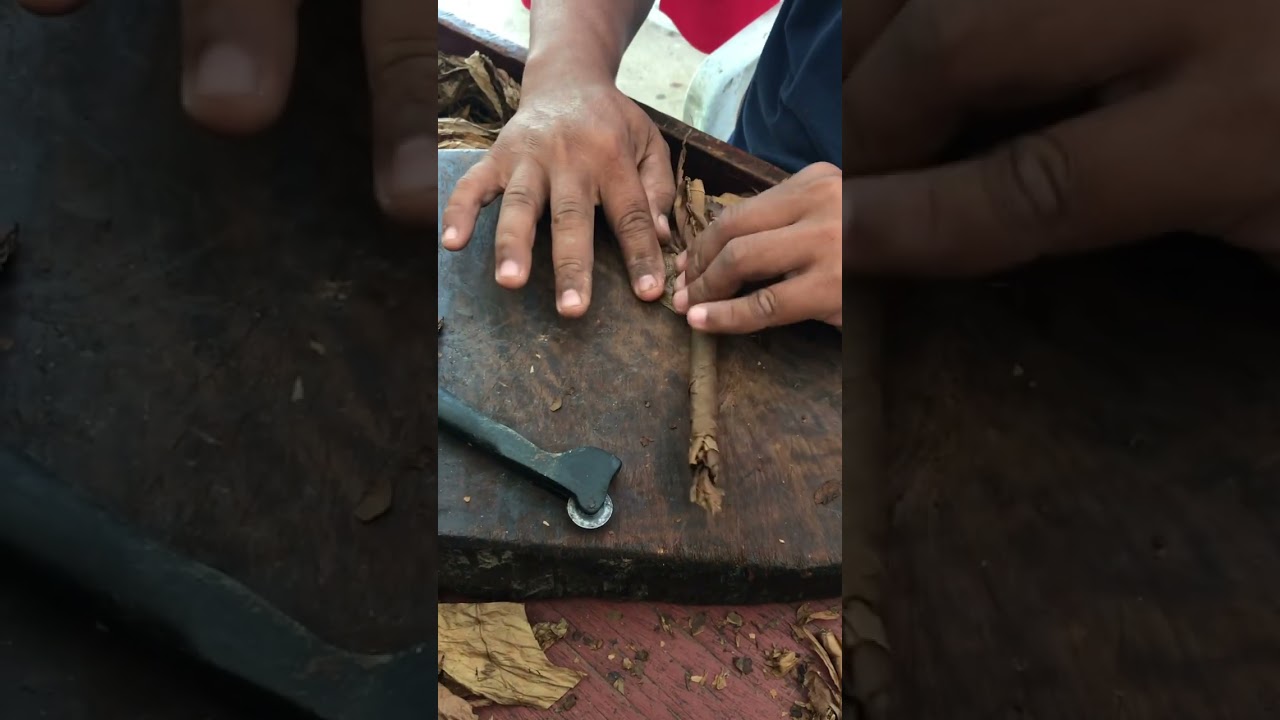 How Organic Cigar Made in Punta Cana Dominican Republic