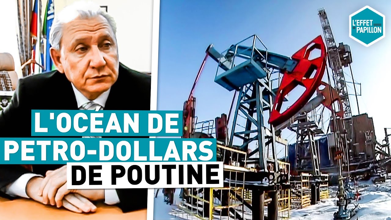 L'OCÉAN DE PETRO-DOLLARS DE POUTINE (Russie) - L'Effet Papillon