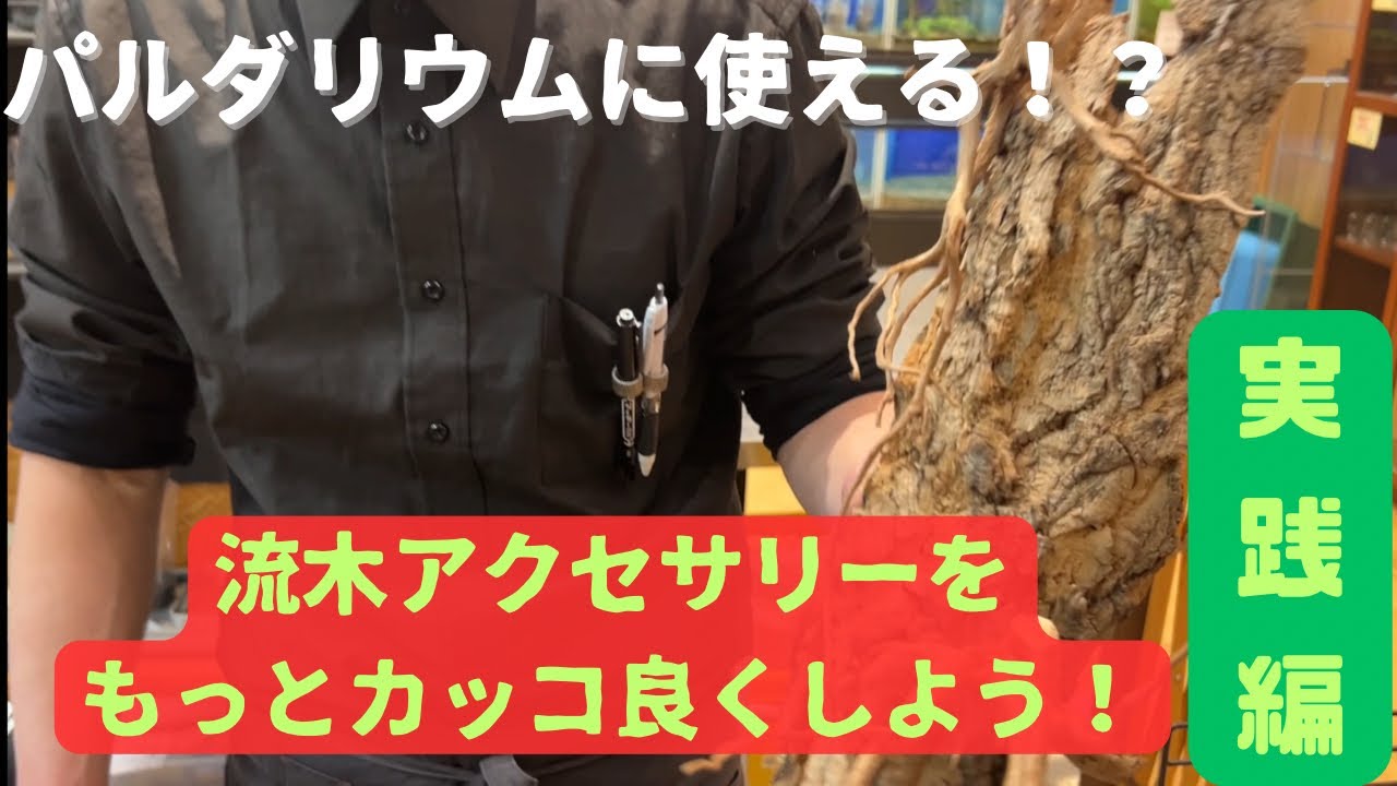 【パルダリウム製作#2】パルダリウムに使える！？流木アクセサリーをカッコよくする方法！　【実践編】
