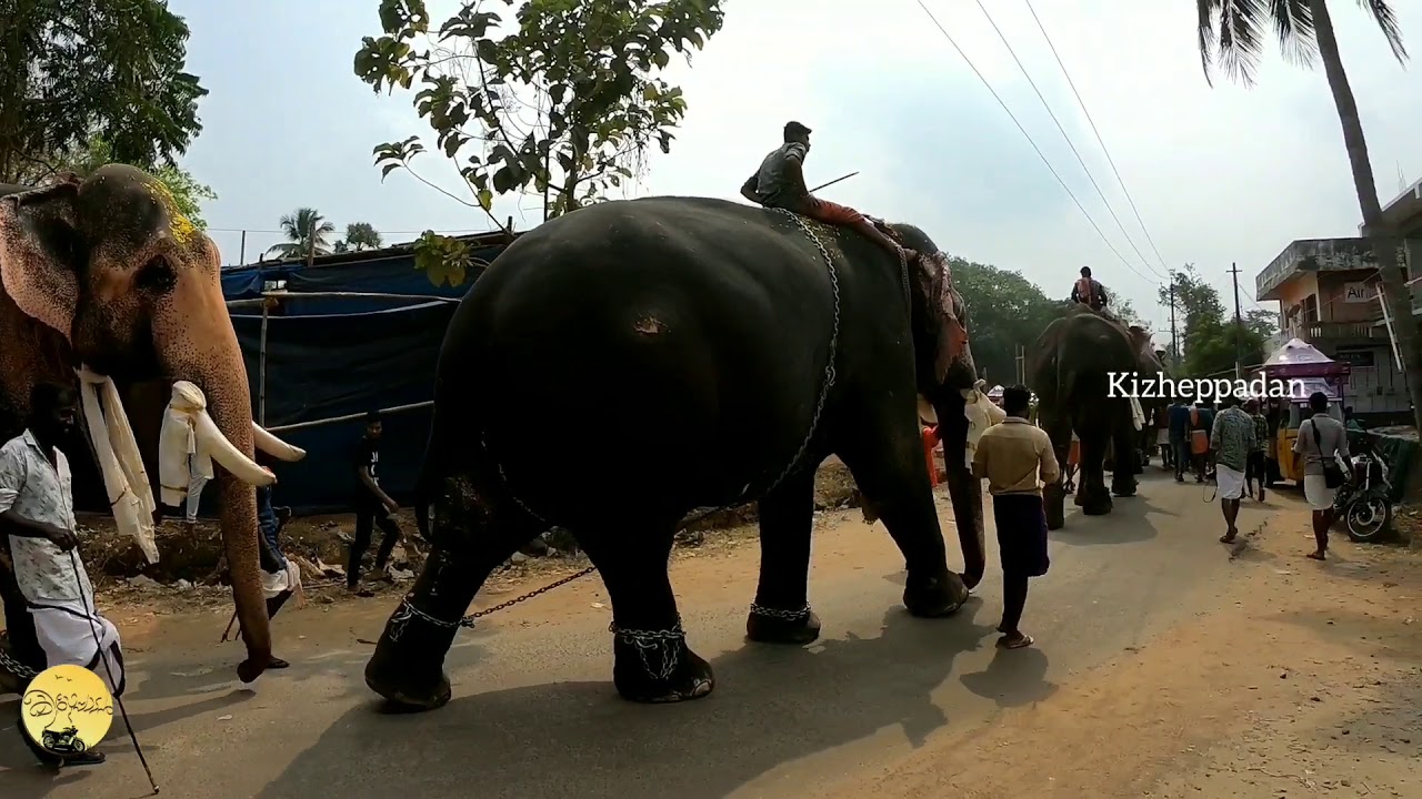 Arangottukara Mullakkal Thalappoli 2018