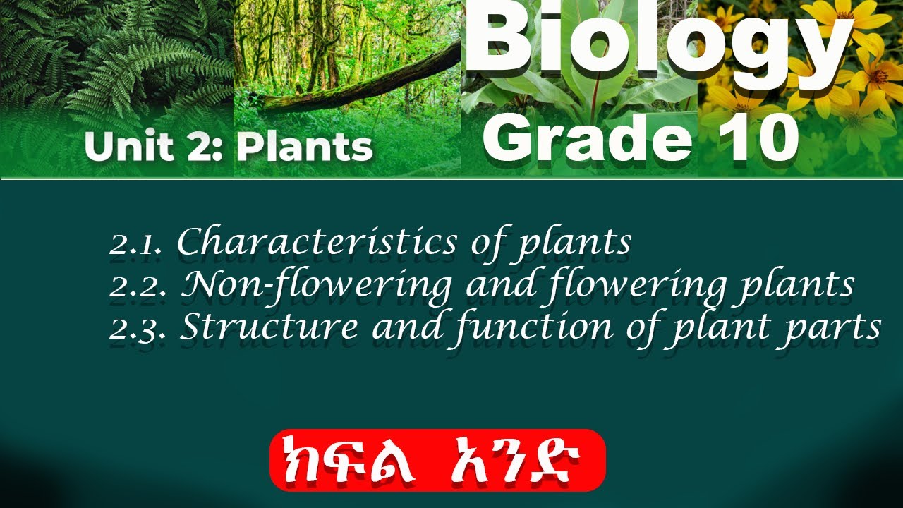 Grade 10 biology unit 2 part 1 | plants | Characteristics of plants ...