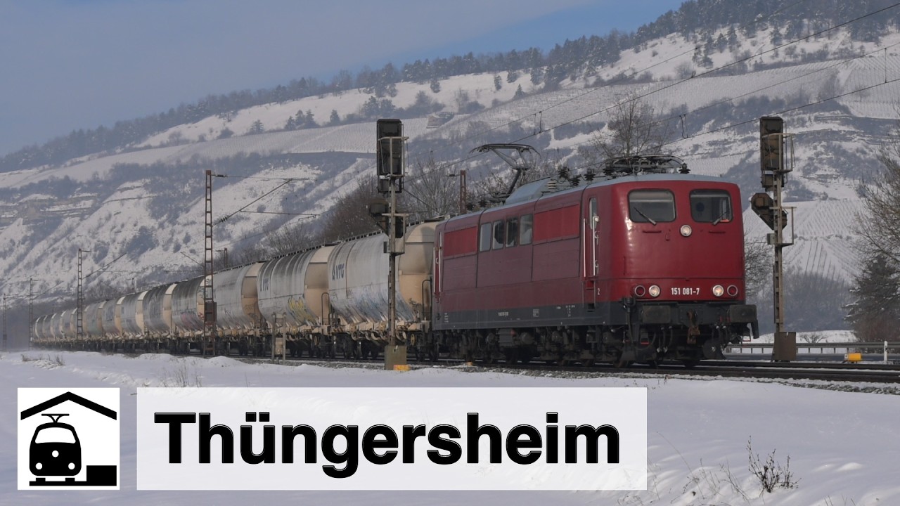 Wir fahren immer... bei Thüngersheim im Maintal