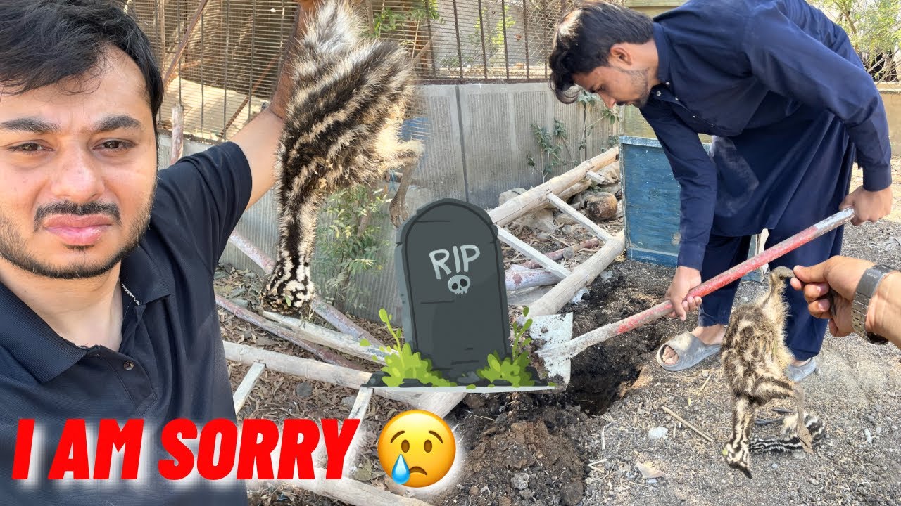 laash ko dafna dya🥹 bohat bura huwa ye
