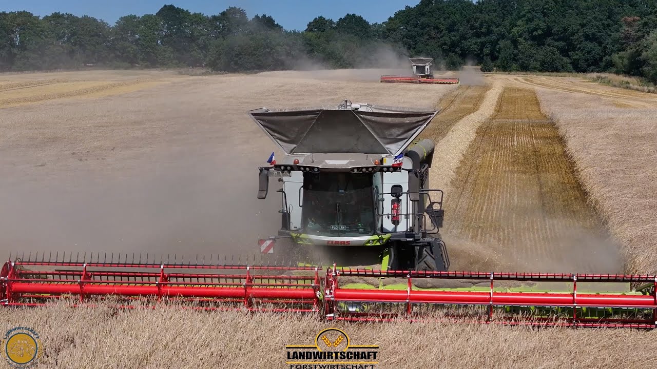Zusammen schaffen wir ha am Tag Getreide - Roggen Dreschen 2 Mähdrescher Claas 8800 Lexion 13.80m 