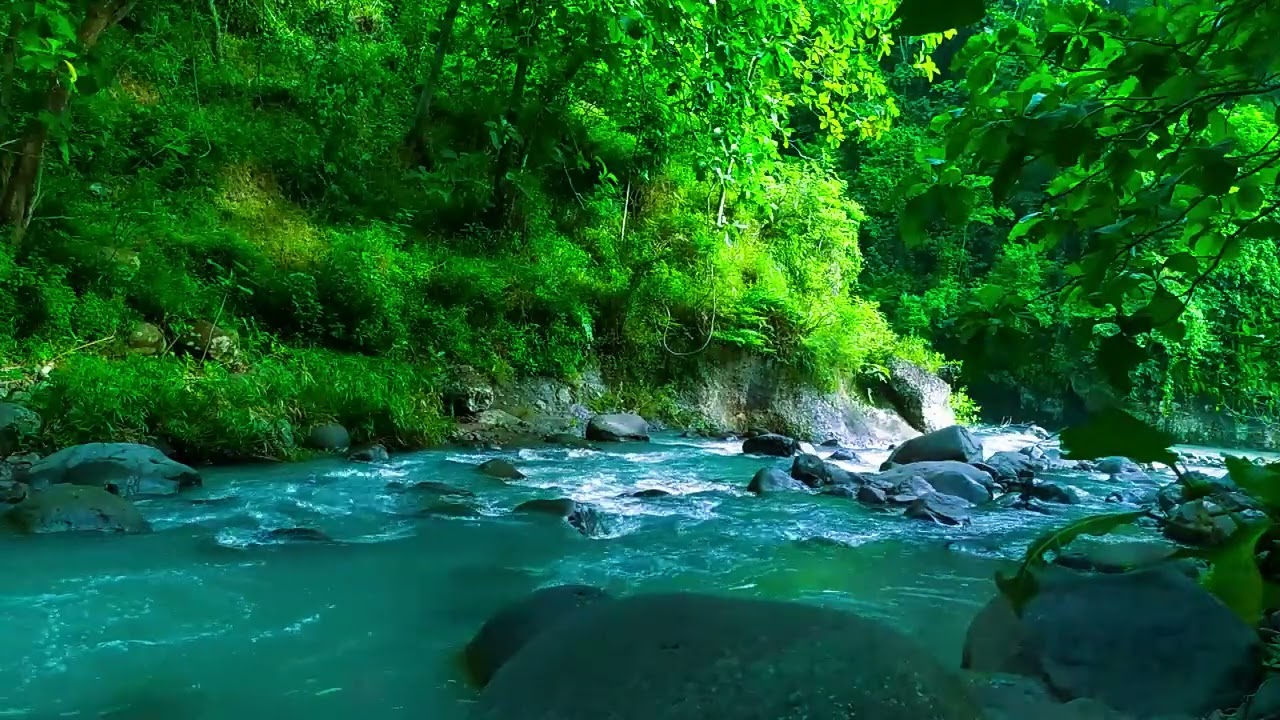 Ambient Water Sounds of a Flowing Stream | Nature White Noise for Sleep, Focus, and Healing