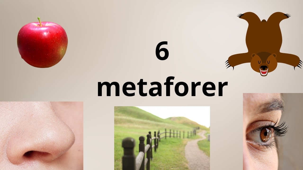 6 metaforer